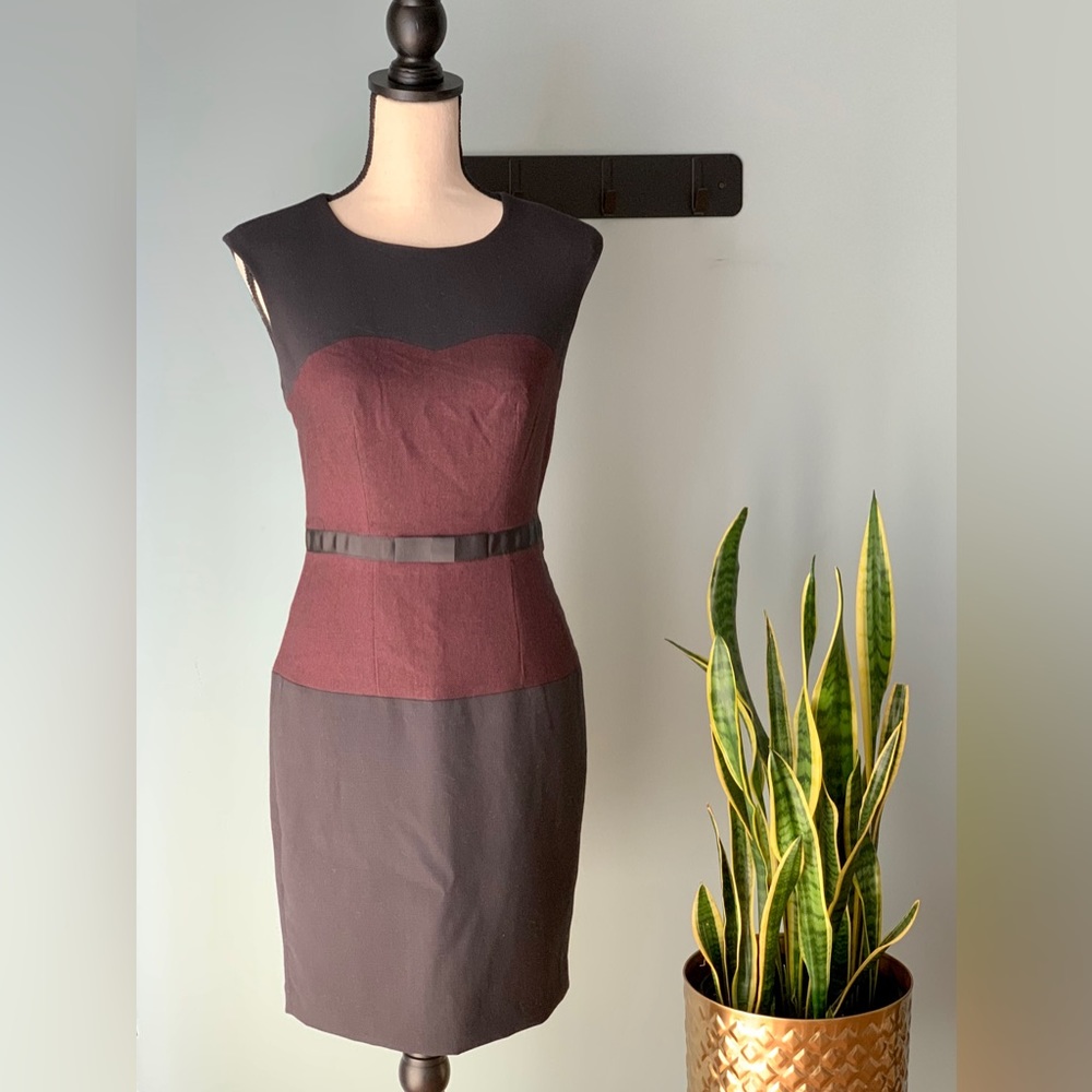 The Limited • Sleek Color-block Sheath Dress • Sweetheart Inset Design • Size 0